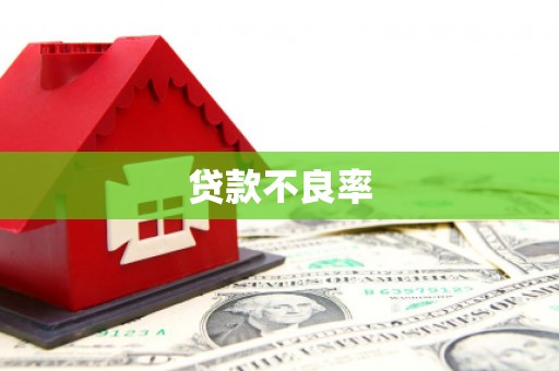 虞城贷款不良率