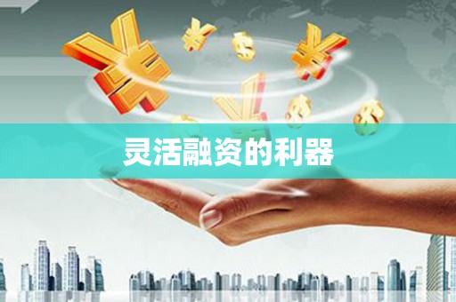 虞城灵活融资的利器