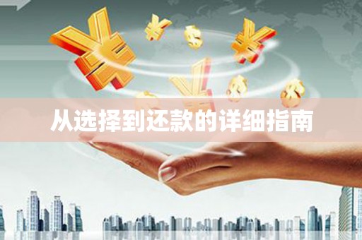 虞城从选择到还款的详细指南