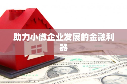 虞城助力小微企业发展的金融利器