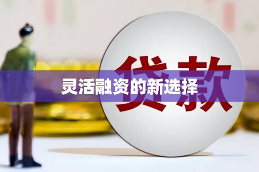 虞城灵活融资的新选择