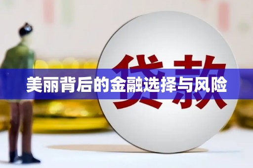 虞城美丽背后的金融选择与风险