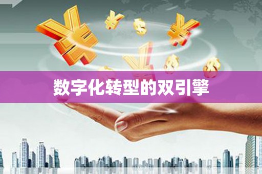 虞城数字化转型的双引擎
