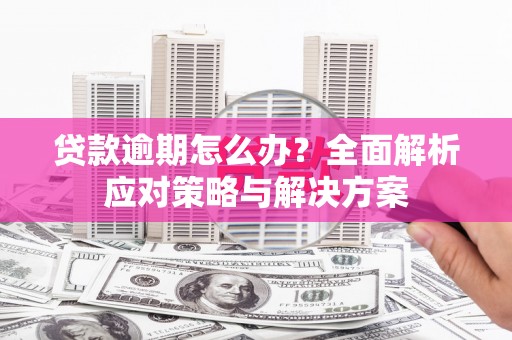 虞城贷款逾期怎么办？全面解析应对策略与解决方案