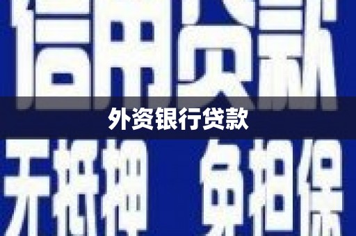 虞城外资银行贷款