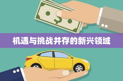 虞城机遇与挑战并存的新兴领域