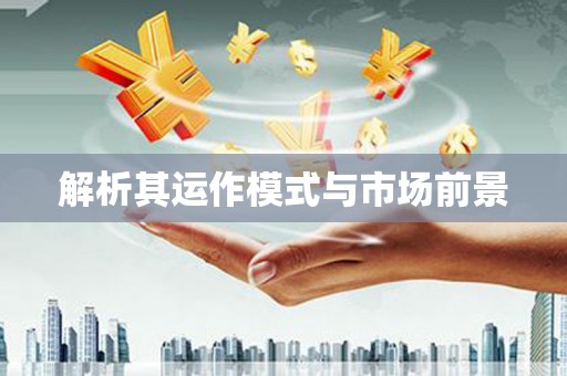 虞城解析其运作模式与市场前景