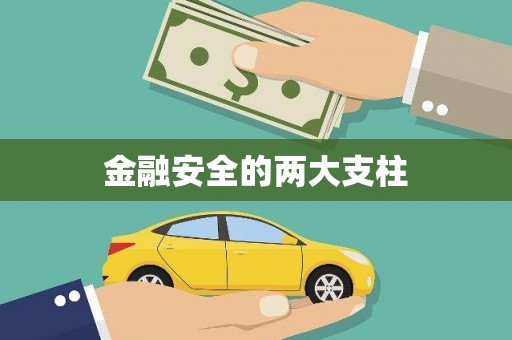 虞城金融安全的两大支柱