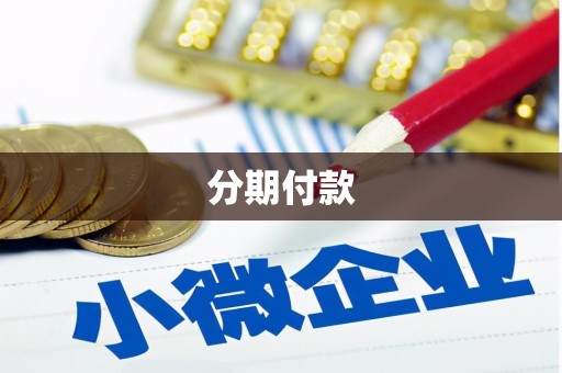 虞城分期付款