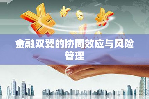 虞城金融双翼的协同效应与风险管理