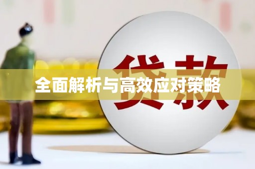 虞城全面解析与高效应对策略