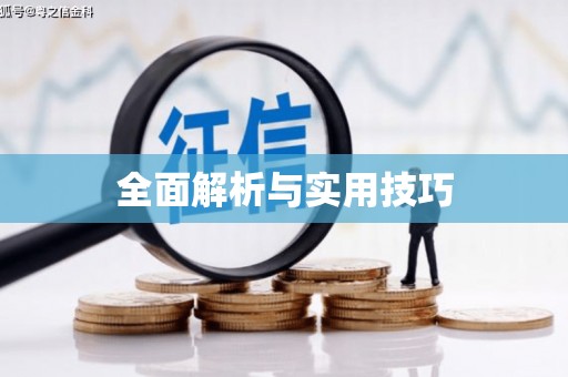 虞城全面解析与实用技巧