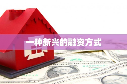 虞城一种新兴的融资方式