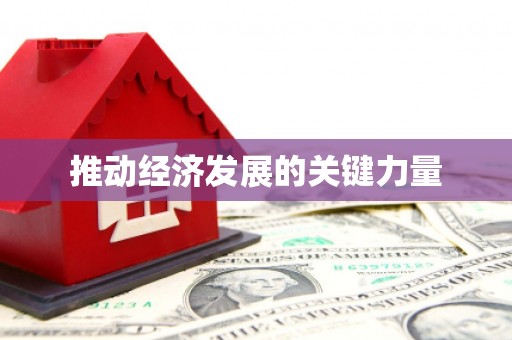 虞城推动经济发展的关键力量