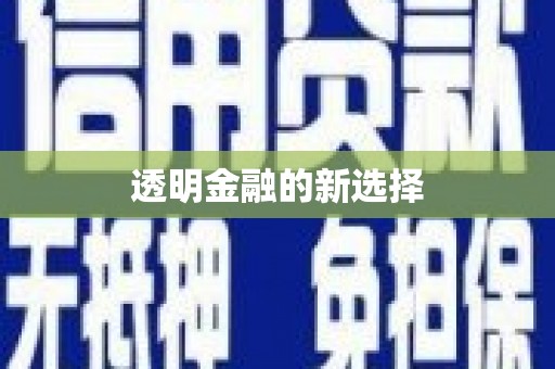 虞城透明金融的新选择