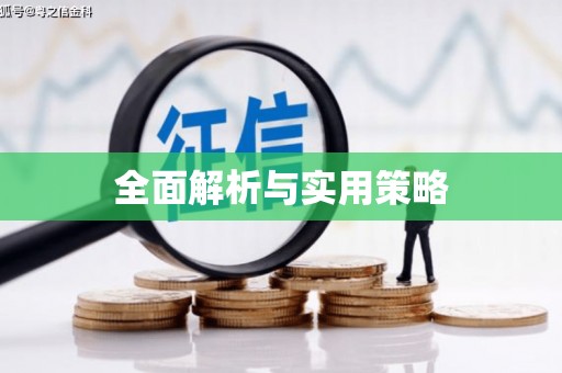 虞城全面解析与实用策略