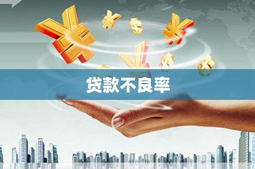 虞城贷款不良率
