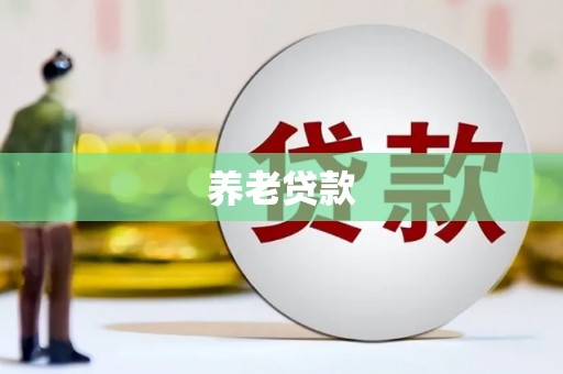 虞城养老贷款