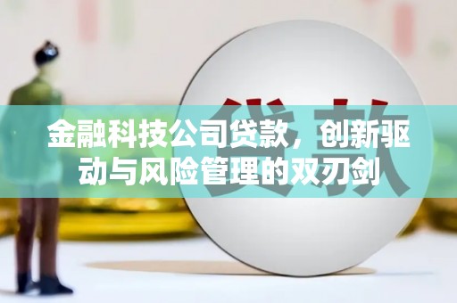 虞城金融科技公司贷款，创新驱动与风险管理的双刃剑