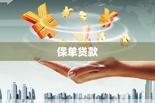 虞城保单贷款